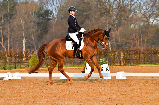 Reitsportzentrum Bremervörde | 170421 Dressurreiter A_042 