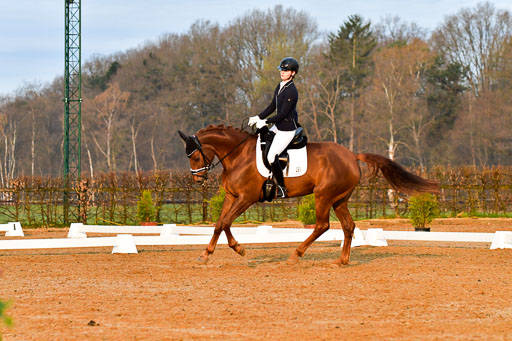 Reitsportzentrum Bremervörde | 170421 Dressurreiter A_045 
