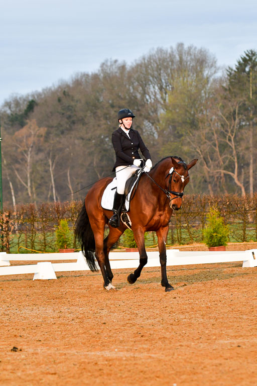 Reitsportzentrum Bremervörde | 170421 Dressurreiter A_056 
