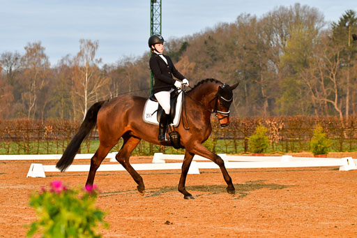 Reitsportzentrum Bremervörde | 170421 Dressurreiter A_059 