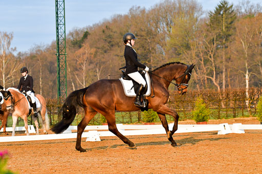 Reitsportzentrum Bremervörde | 170421 Dressurreiter A_061 