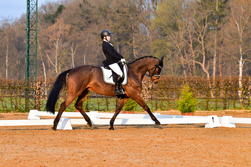 Reitsportzentrum Bremervörde | 170421 Dressurreiter A_064 