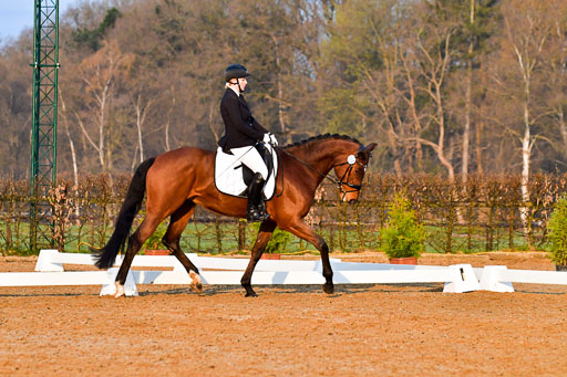 Reitsportzentrum Bremervörde | 170421 Dressurreiter A_066 