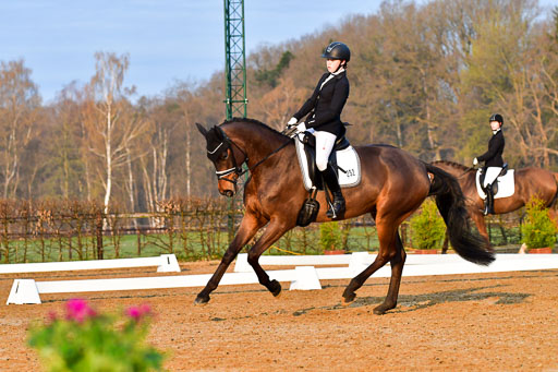 Reitsportzentrum Bremervörde | 170421 Dressurreiter A_068 