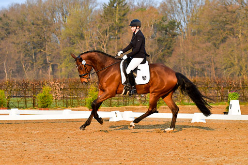 Reitsportzentrum Bremervörde | 170421 Dressurreiter A_070 