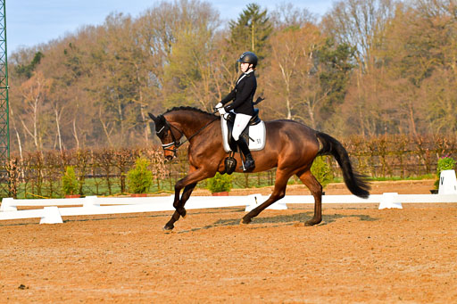 Reitsportzentrum Bremervörde | 170421 Dressurreiter A_072 