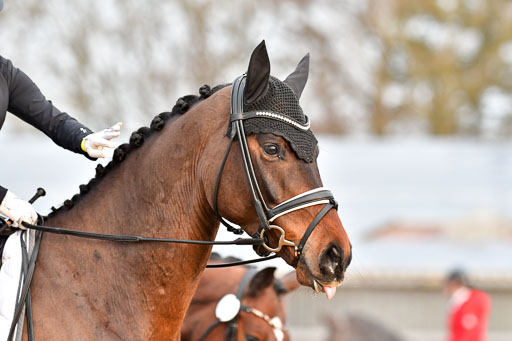 Reitsportzentrum Bremervörde | 170421 Dressurreiter A_077 