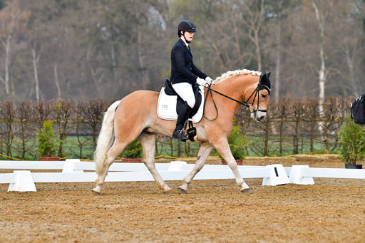 Reitsportzentrum Bremervörde | 170421 Dressurreiter A_078 