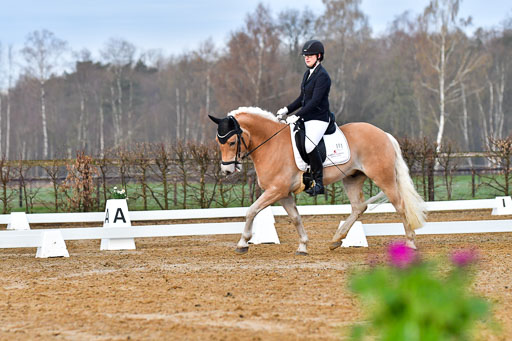 Reitsportzentrum Bremervörde | 170421 Dressurreiter A_082 