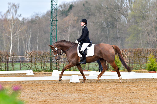 Reitsportzentrum Bremervörde | 170421 Dressurreiter A_083 