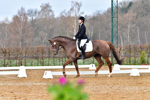 Reitsportzentrum Bremervörde | 170421 Dressurreiter A_084 