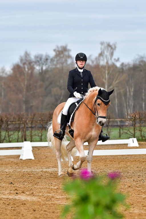 Reitsportzentrum Bremervörde | 170421 Dressurreiter A_086 