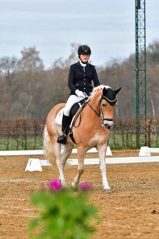 Reitsportzentrum Bremervörde | 170421 Dressurreiter A_087 