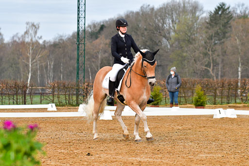 Reitsportzentrum Bremervörde | 170421 Dressurreiter A_091 
