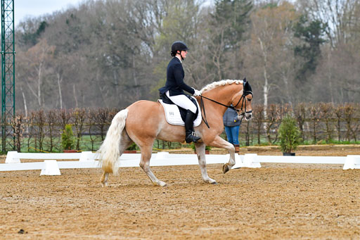 Reitsportzentrum Bremervörde | 170421 Dressurreiter A_095 