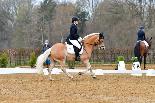 Reitsportzentrum Bremervörde | 170421 Dressurreiter A_096 