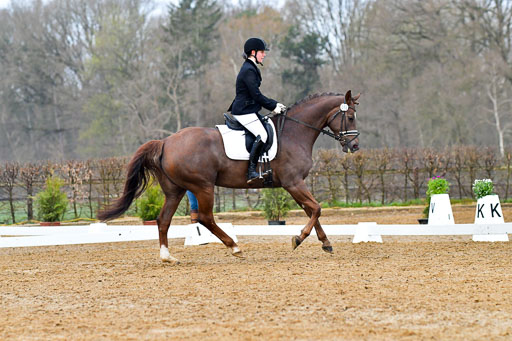 Reitsportzentrum Bremervörde | 170421 Dressurreiter A_098 