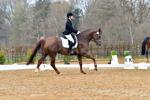 Reitsportzentrum Bremervörde | 170421 Dressurreiter A_099 