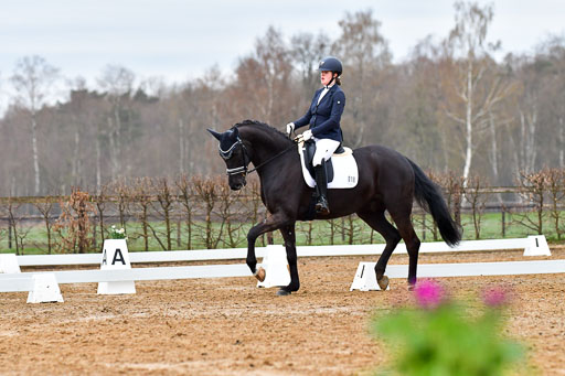 Reitsportzentrum Bremervörde | 170421 Dressurreiter A_121 