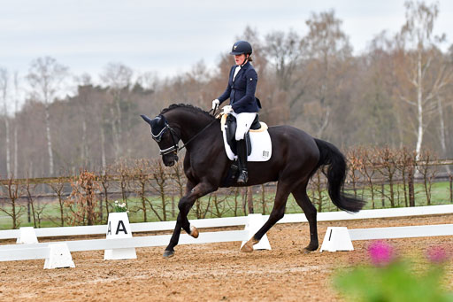Reitsportzentrum Bremervörde | 170421 Dressurreiter A_122 