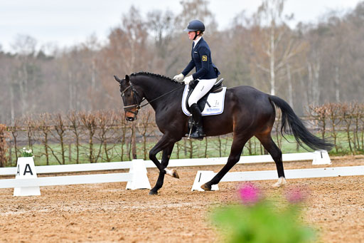 Reitsportzentrum Bremervörde | 170421 Dressurreiter A_124 