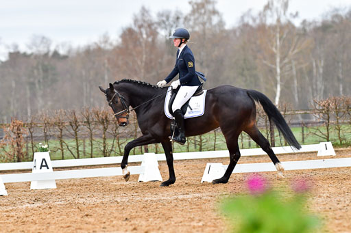 Reitsportzentrum Bremervörde | 170421 Dressurreiter A_125 