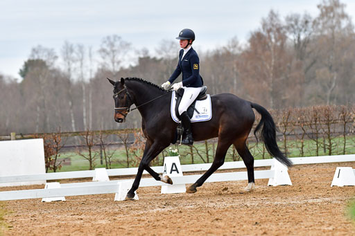 Reitsportzentrum Bremervörde | 170421 Dressurreiter A_126 