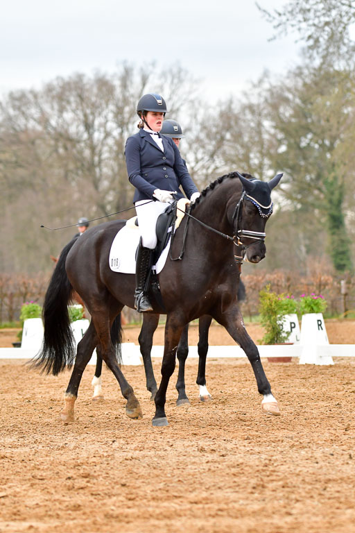 Reitsportzentrum Bremervörde | 170421 Dressurreiter A_133 