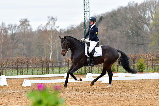 Reitsportzentrum Bremervörde | 170421 Dressurreiter A_146 