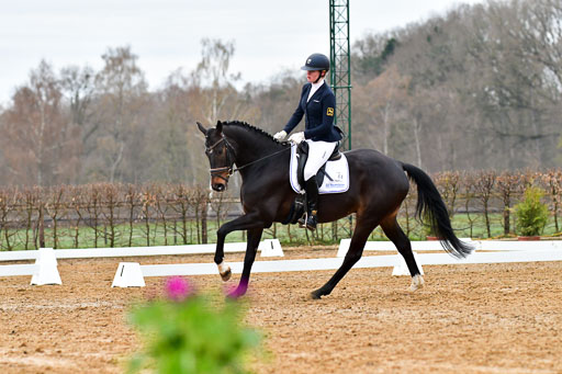 Reitsportzentrum Bremervörde | 170421 Dressurreiter A_147 