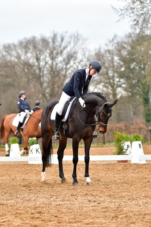 Reitsportzentrum Bremervörde | 170421 Dressurreiter A_153 