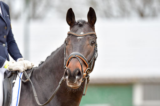 Reitsportzentrum Bremervörde | 170421 Dressurreiter A_155 