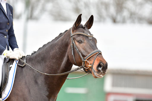 Reitsportzentrum Bremervörde | 170421 Dressurreiter A_157 