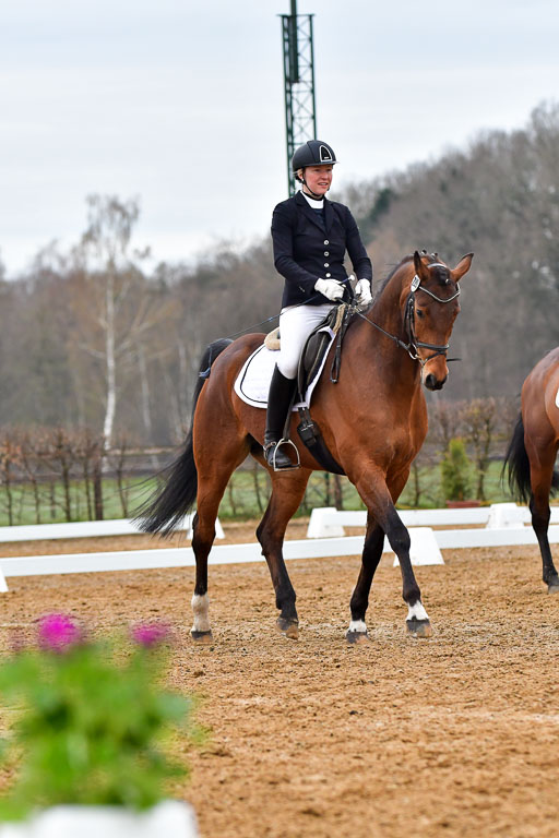Reitsportzentrum Bremervörde | 170421 Dressurreiter A_160 