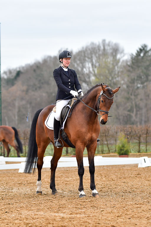 Reitsportzentrum Bremervörde | 170421 Dressurreiter A_161 