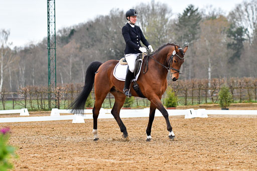 Reitsportzentrum Bremervörde | 170421 Dressurreiter A_162 