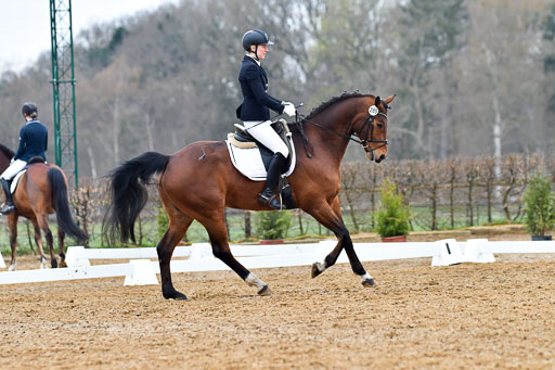 Reitsportzentrum Bremervörde | 170421 Dressurreiter A_163 
