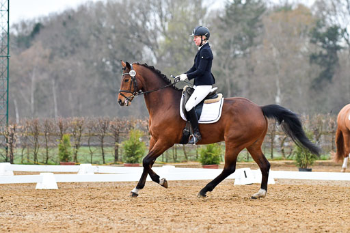 Reitsportzentrum Bremervörde | 170421 Dressurreiter A_170 