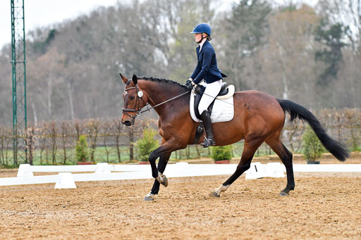 Reitsportzentrum Bremervörde | 170421 Dressurreiter A_172 