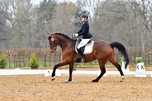 Reitsportzentrum Bremervörde | 170421 Dressurreiter A_174 
