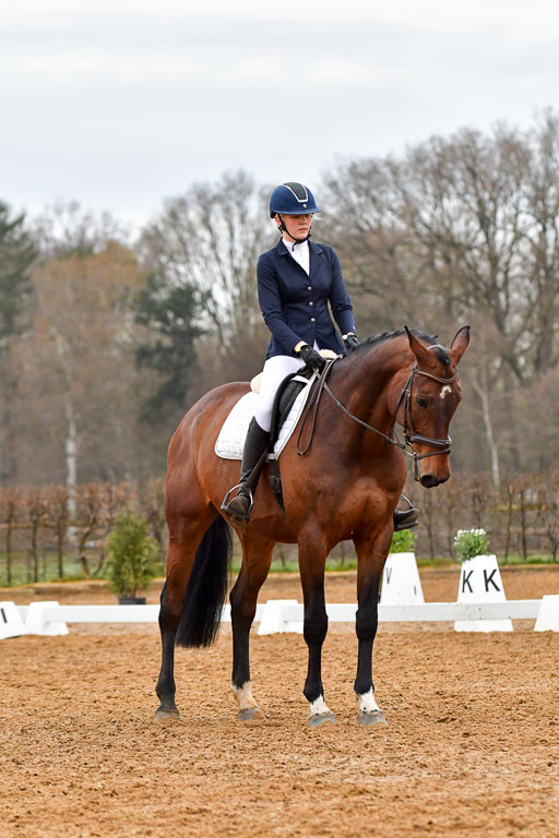 Reitsportzentrum Bremervörde | 170421 Dressurreiter A_176 