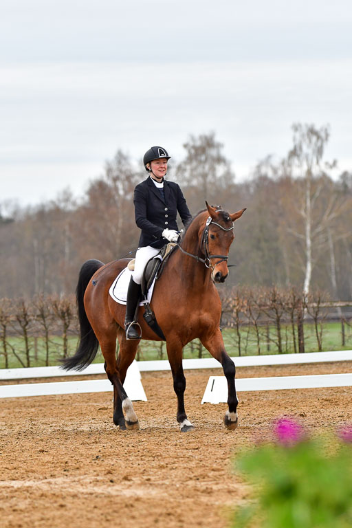 Reitsportzentrum Bremervörde | 170421 Dressurreiter A_177 