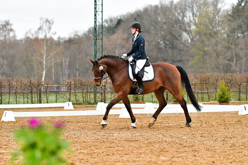 Reitsportzentrum Bremervörde | 170421 Dressurreiter A_187 