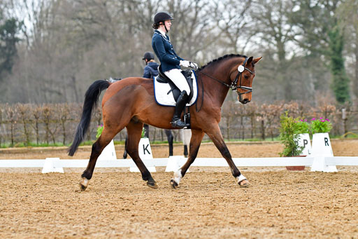 Reitsportzentrum Bremervörde | 170421 Dressurreiter A_188 