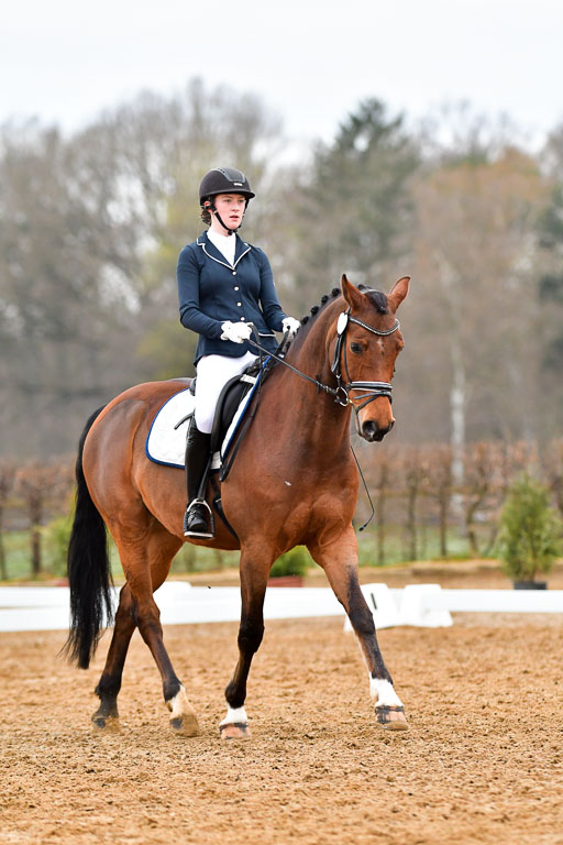 Reitsportzentrum Bremervörde | 170421 Dressurreiter A_193 