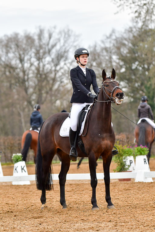 Reitsportzentrum Bremervörde | 170421 Dressurreiter A_196 