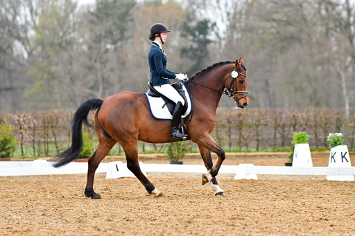 Reitsportzentrum Bremervörde | 170421 Dressurreiter A_198 