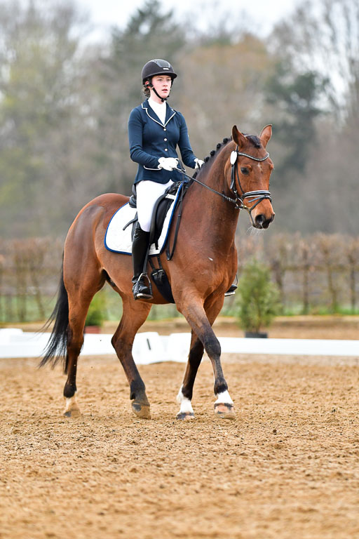 Reitsportzentrum Bremervörde | 170421 Dressurreiter A_208 