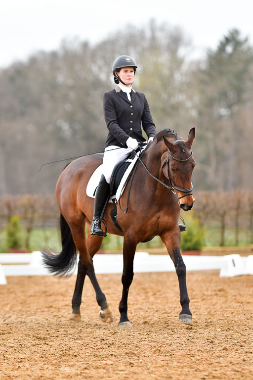Reitsportzentrum Bremervörde | 170421 Dressurreiter A_212 