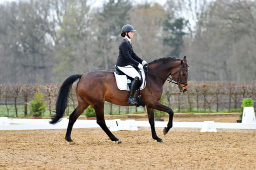 Reitsportzentrum Bremervörde | 170421 Dressurreiter A_216 